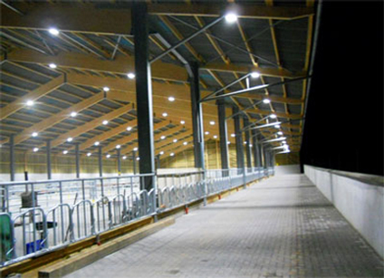 batiment agricole eclairage led